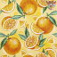 HOME FASHION ڡѡʥץPieces of Orange1/Х˥ ڤ åȥ ʪ ե롼 ǥѡ