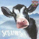 IHR ペーパーナプキン☆SERVUS☆(1枚/バラ売り)牛 うし ウシ 山 文字 英字 動物 デコパージュ 可愛い 素敵 お洒落