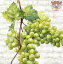 25cmIHR ڡѡʥץWHITE GRAPES cream1/Х(W25cmL25cm)֤ɤ ֥ɥ  磻 ѥ ʪ ե롼 ǥѡ