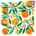 PPD ペーパーナプキン☆Traceys Orangina☆（1枚/バラ売り）オレンジ 花 枝 果物 フルーツ 素敵 デコパージュ