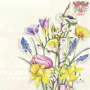 IHR ペーパーナプキン☆SPRING FLOWERS cream☆(20枚入り) 春の花 チューリップ 水仙 クロッカス ムスカリ 花柄 春柄 デコパージュ ...