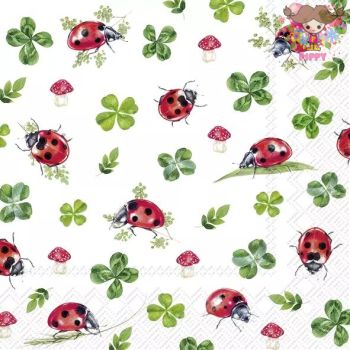 IHR ڡѡʥץLUCKY LADYBUGS1硦Х˻ͤ С ƤȤ Τ ǥѡ İ Ũ ޯ ڤ䤫 쥬 ϥɥᥤ