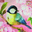 PPD ڡѡʥץOiseau en rose1/ХĻ ԥ   ưʪ  Ũ ǥѡ