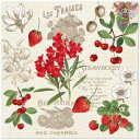 Paw ペーパーナプキン☆Summer Fruits☆(1枚・バラ売り)いちご 苺 イチゴ ストロベリー 花 花柄 さくらんぼ 果物 フルーツ デコパージュ 英...