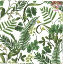 Daisy ペーパーナプキン☆Ferns and Green Leaves☆(20枚入り)シダ植物 クローバー 枝 葉 植物 デコパージュ