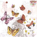 Braun + Company ペーパーナプキン☆Butterfly Romance☆(20枚入り)蝶 チョウ ちょう 紫陽花 あじさい アジサイ 英字 花柄 ...