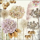 Ambiente ペーパーナプキン☆Dried flowers☆ (1枚/バラ売り) ドライフラワー 花柄 紫陽花 すすき シック 秋柄 可愛い 素敵 お洒落 デコパージュ