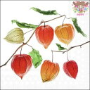 Ambiente ペーパーナプキン☆Lampion flower☆ (1枚/バラ売り) ホオズキ 実 秋柄 可愛い 素敵 お洒落 デコパージュ