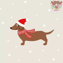 【25cmサイズ】Braun + Company ペーパーナプキン☆Weihnachtsdackel☆(1枚/バラ売り)(W25cm×L25cm)クリスマス 犬...