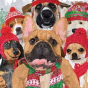 PPD ペーパーナプキン☆Dog Usie☆(20枚入り)パグ ダックスフント ニット帽 帽子 マフラー 犬 雪 動物 クリスマス 素敵 可愛い お洒落 デコパ...