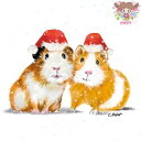 PPD ペーパーナプキン☆Paula & Paul Winter☆(1枚/バラ売り)モルモット サンタ帽 帽子 雪 動物 クリスマス 素敵 可愛い お洒落 デコ...