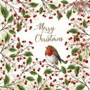 PPD ペーパーナプキン☆Merry Bird☆(1枚/バラ売り)鳥 ロビン モチノキ ベリー 英字 クリスマス 素敵 可愛い お洒落 デコパージュ