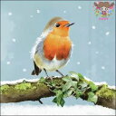 Ambiente ペーパーナプキン☆Robin on branch☆ (1枚/バラ売り) ロビン 小鳥 雪 枝 ツタ 動物 可愛い 素敵 お洒落 デコパージュ