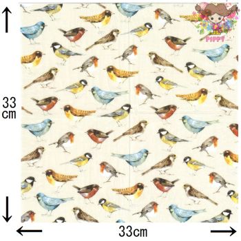 IHR ペーパーナプキン☆THE BIRDS cream☆（1枚/バラ売り）小鳥 鳥 ロビン コマドリ ...
