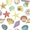 Paper+Design ペーパーナプキン ☆Seashore☆(1枚/バラ売り)貝殻 ヒトデ 海の生き物 夏柄 かわいい お洒落 エレガント 華やか デコパー...
