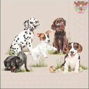 Ambiente ペーパーナプキン☆Playing puppies☆ (1枚/バラ売り) 子犬 動物 かわいい 素敵 お洒落 可憐 エレガント デコパージュ ハ...