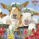 PPD ペーパーナプキン☆Gary & Gracie☆(1枚/バラ売り)やぎ ヤギ ポピー 花 フェンス 牧場 動物 花柄 素敵 可愛い お洒落 デコパージュ