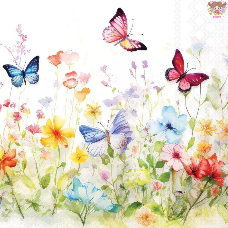 Ambiente �ڡ��ѡ��ʥץ���� Butterflies in field white ����1��/�Х����� ĳ�� ���� � ����Ȫ �������襤�� ��Ũ ...
