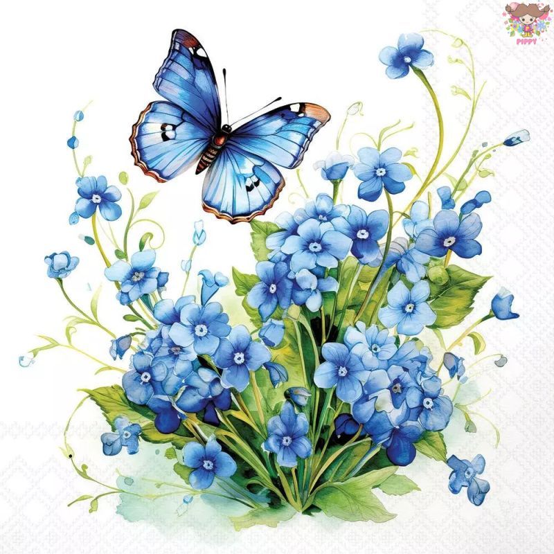 Ambiente �ڡ��ѡ��ʥץ���� Forget me not ����1��/�Х����� ��˺�� ĳ�� �Ĥ��� ���� ���襤�� ��Ũ ��ޯ�� ���� ���쥬��� ��...