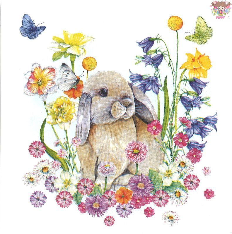 Ambiente �ڡ��ѡ��ʥץ���� Little rabbit ����1��/�Х����� ������ ������ ��ӥå� �ǥ����� ���� ĳ ���������� �������襤�� ...