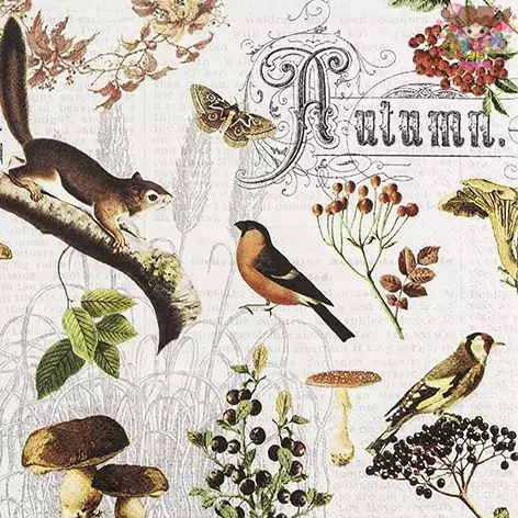 HOME FASHION �ڡ��ѡ��ʥץ����Autumn Collage����1��/�Х����˥ꥹ �ꤹ Ļ ĳ ���Τ� ���Υ� �٥꡼ �� ưʪ��Ũ �İ��� ��...