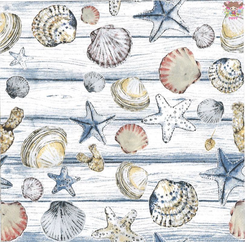 Paper+Design �ڡ��ѡ��ʥץ��� ��Beach Shells����20������˳� ���� �ҥȥ� �� ���� �ӡ��� ���ܤ��襤�� ��ޯ�� ���쥬��� �ڤ�...