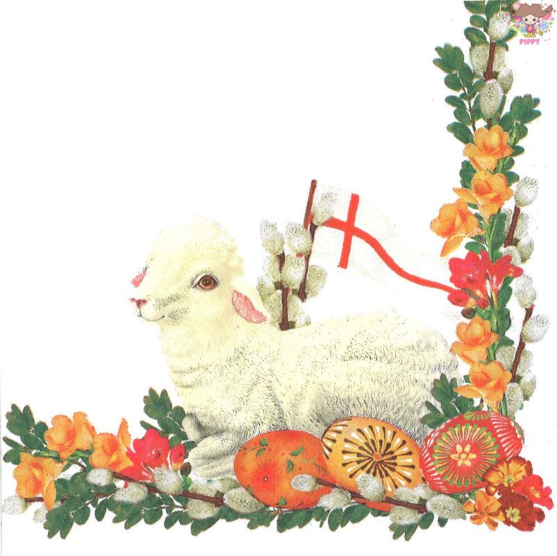 Daisy �ڡ��ѡ��ʥץ����Lamb & Easter Palm - White����1��/�Х���� �˥ҥĥ� �ҤĤ� �� ��� �������������å� �� �ե졼��...