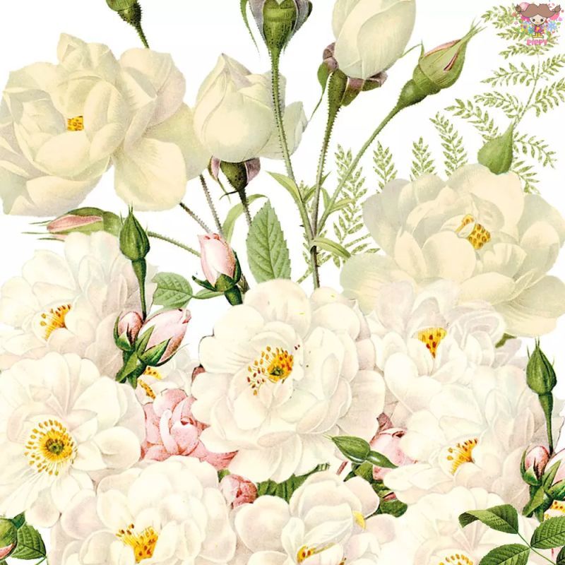 Rakuten - PPD ペーパーナプキン☆Roses Blancs☆（1枚/バラ売り）ローズ 薔薇 白い花 花柄 ホワイトローズ ヴィンテージ風 素敵 可愛い お洒落 デコパージュ ハンドメイド