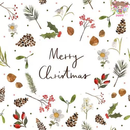 商品詳細 商品名 ドイツPAPERPRODUCTS DESIGN社のペーパーナプキン 柄名 Lena's Christmas 商品説明 ドイツPAPERPRODUCTS DESIGN社のペーパーナプキン。ヨーロッパならではの素敵なデザインです。 3枚重ねで厚みがありしっかりとしていることが特徴。 デコパージュやラッピングなど アイデア次第でさまざまな使い方ができます。 1枚目の画像はペーパーナプキン1/4の大きさです。 サイズ W33cm×L33cm/3枚重ね 素材 紙 入数 1枚/バラ売り その他 ※ご覧頂く環境により色・素材の見え方などが実際の商品と多少異なることがございます。 ※ペーパーナプキン特有のシワや印刷ミスやズレがありますので、ご了承お願い致します。 ブランドについて ペーパーナプキンで有名なPAPERPRODUCTS DESIGN社のブランド『ppd』は、トレンディーなデザインと高品質な印刷で知られています。安全性を考慮し、肌にやさしい印刷技術と塩素を使用していません。また、100％ドイツ製です。 フランス生まれの可愛いデコパージュ＆デコパッチにも最適&nbsp;❤ お気に入りの柄を切ったり、ちぎったりして専用のりで貼るだけで、お手軽で簡単に自宅クラフトが楽しめます！ 石鹸他、木・鉄・プラスチック・ガラス・タイル・布など形を問わず、家庭にあるものにひと手間加えて使うことができます。シンプルな箱をデコして、プレゼント用ボックスを作ってみたり、石鹸や携帯ケースにデコしてお友達にプレゼントするなど用途は様々なので、自分のオリジナルな使い方を探してみるのもいかがでしょうか。 こんな感じにデコしてみました♪ ショップに届いた素敵なデコパージュ作品をご紹介！ &rarr;　 ☆デコパージュ作品はこちら☆ メール便とは、ご自宅のポストに郵便局と同様に投函にてのお届けとなりますので、不在時でもお受け取りすることができます。メール便での配送をご希望されるお客様は、注文を確定される前に、配送方法にて『メール便（日時指定・代金引換不可）（紙ナプキン20枚入り×2パックまで)』を選択してください。 ※ メール便ご利用の方は、ペーパーナプキン20枚入り×2パックまでとなります。 3パック以上、または、2パック＋バラ売りをご購入の方は、「宅配便」をご指定ください。 ※ メール便での『代金引換』はご利用頂けません。 代金引換をご利用の方は、『宅配便』をご指定ください。 ※ メール便で発送できないお客球には、こちらからご連絡しております。 その際、お客様とご連絡が取れるまで商品発送ができないため、お届けまでにお時間を要する場合がございますので、ご了承お願い致します。 ■基本的に、梱包が3センチ以内の場合は、お客様のご希望されましたメール便での配送をお受けいたします。しかし、商品のサイズによっては、メール便での配送はお受けできない場合もございますので、予めご了承ください。ご指定されましたメール便にて配送できない際は、商品発送前に当店よりお客様宛てにご連絡いたします。 なお、当店からお客様に連絡する際に、楽天システム経由にてメールを発信いたします。迷惑メールの拒否設定をされているお客様はお受取出来ない場合がございます。必ず迷惑メール拒否設定の解除をお願いいたします。 ■送料変更につきましては、楽天のシステム上、送料は自動計算されませんので、当店からのご注文確定メールにて再計算した合計金額をご連絡いたします。内容変更後、翌日に楽天からの内容変更のお知らせメールがあります。 ※必ずお読みください⇒発送に関するご注意 全てお読み頂きご了承頂いたお客様のみご利用可能でございます。ハンドメイドやラッピングにも大活躍！