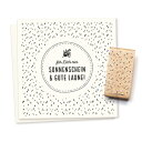 cats on appletrees スタンプ☆雨 ドット 模様 パターン(Backround Dots)☆木製 プレゼント クラフト 雑貨 保育園 幼稚園 先...