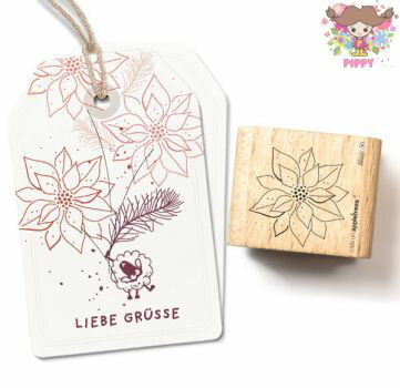 cats on appletrees スタンプ☆Blüte 56 Weihnachtsstern Outline☆ポインセチア アウトライン 花 クリスマス木製 プレゼント クラフト 雑貨 保育園 幼稚園 先生【メール便発送可】のサムネイル