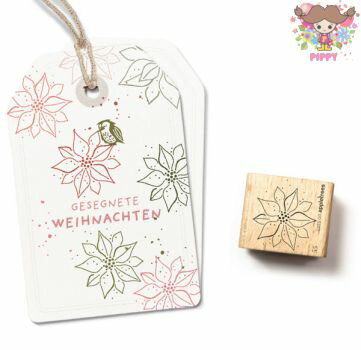 cats on appletrees סBlüte 55 Weihnachtsstern Outlineݥ󥻥 ȥ饤  ...
