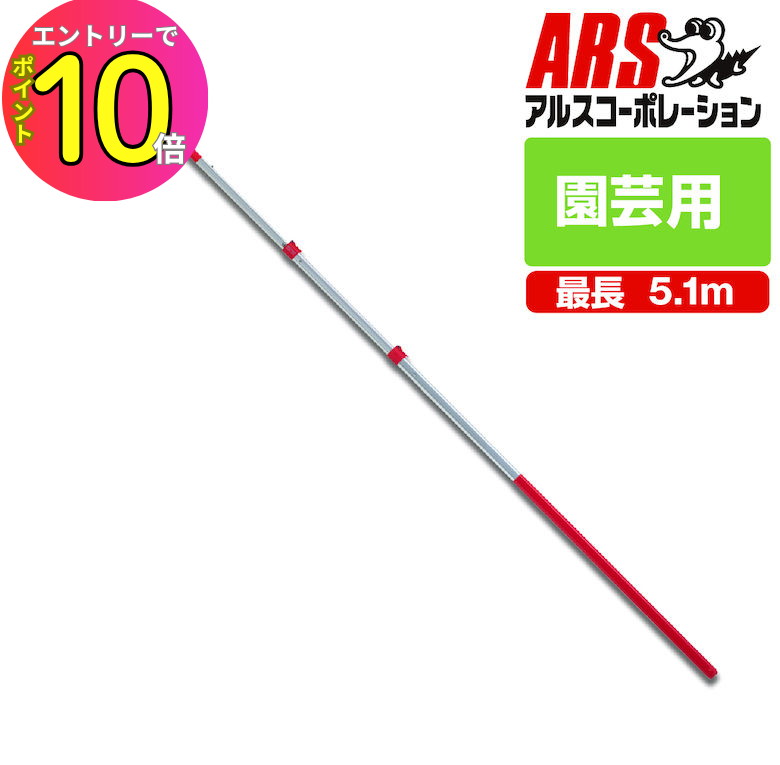 [9ȥ꡼P10!]   Υ  륹 250Z-5-3 ̼޵ॽ5000 Ĺ37cm Ĺ23...