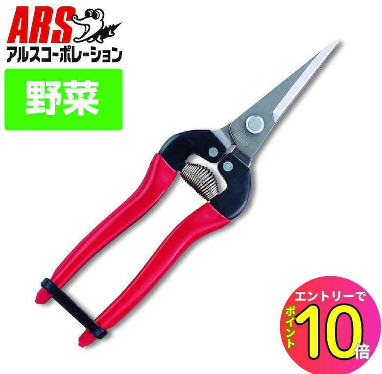 [ȥ꡼P10!] ڳŷ󥭥1 5ãۥ륹 ARS 300L-DX-BP Ŧ󥰥 ƥ쥹 190mm...