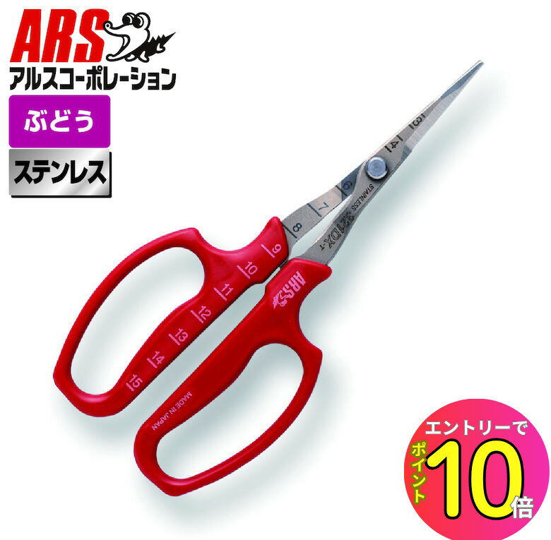 [8ȥ꡼P10!] 륹 321DX-T-BP ֤ɤŦγ ľ ֥ꥹѥå ֤ɤ ֤ɤФ ľ ȥ졼ȥ Ķ...