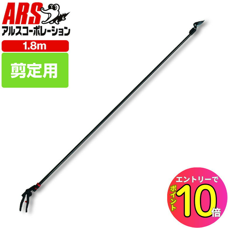 [8ȥ꡼P10!] ڳŷ󥭥1 4ã۹ڤХ Ķ420g ҼǻȤڤ!! Ĺ1.8m ...