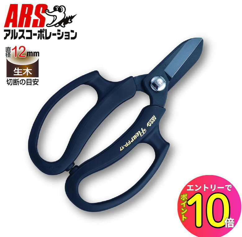 https://thumbnail.image.rakuten.co.jp/@0_gold/plantz/entry_p10/4965280995520.jpg