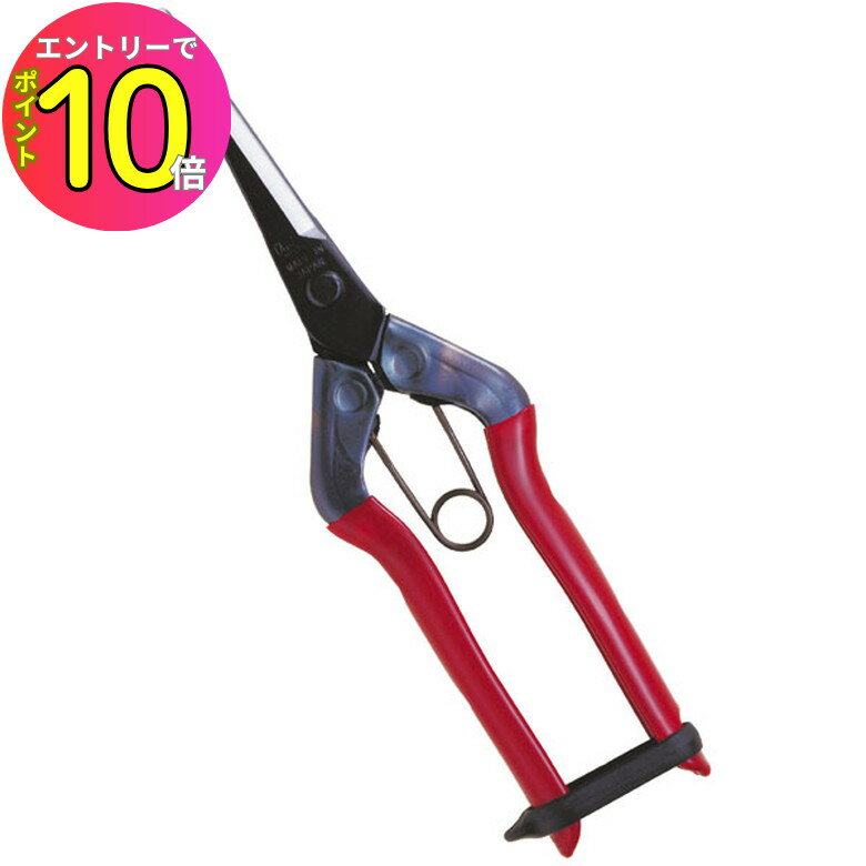 [8ȥ꡼P10!] Ŧ  ѥϥߡ۲ֳ̽  T-570   Ϥ ϥ ݤϤ ǥ...