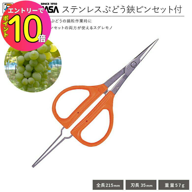[エントリーでP10倍!] 刃先が細くてぶどう摘果にぴったりなハサミ ピンセット付き】 摘粒 摘房 房作り 収穫用 軽量はさみ ピンセット付 近正 B-300SP ステンブドウ鋏 | ぶどうハサミ ブドウハサミ 摘粒はさみ 収穫ハサミ 摘果ハサミ ステンレス 採果鋏 葡萄ハサミ 葡萄