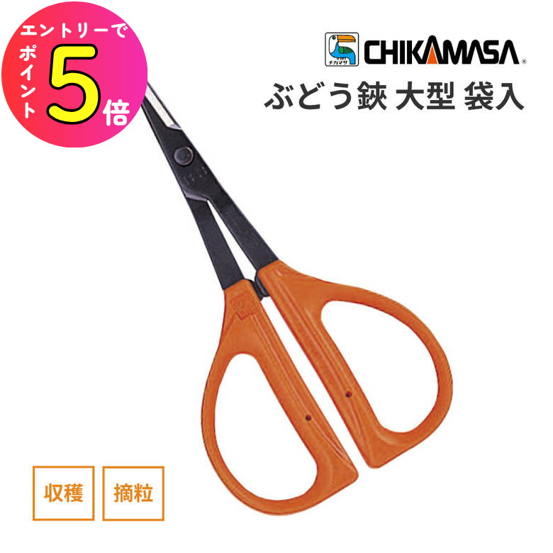 [ポイント最大15倍] 【刃先が細くてぶどう摘果にぴったりなハサミ】花殻処理 ぶどう はさみ 近正 B-300..