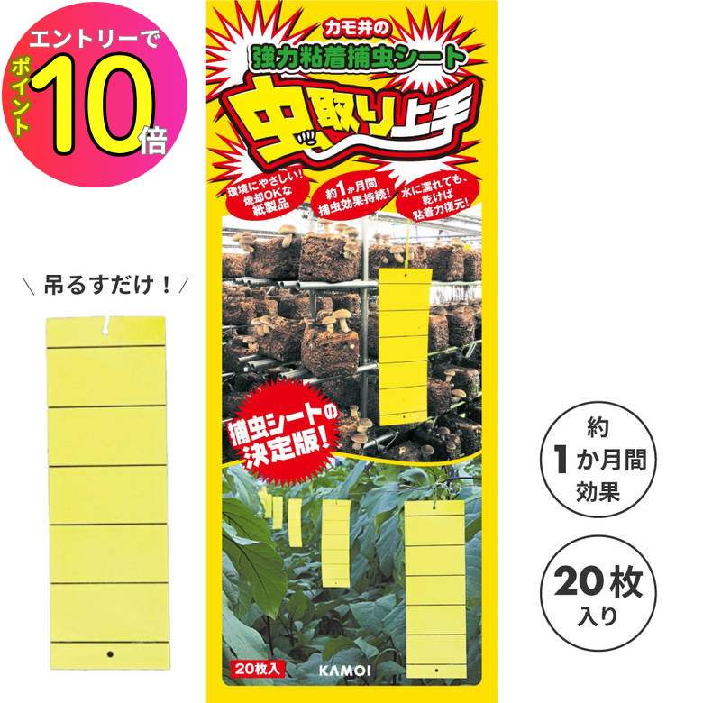[エントリーでP10倍!] コバエ取り ハ�