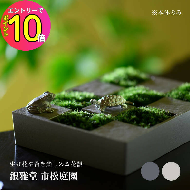 [8ȥ꡼P10!] Ʋ Ծ ú   ͤ ʥץ她 ging-136-GRE ging-13...