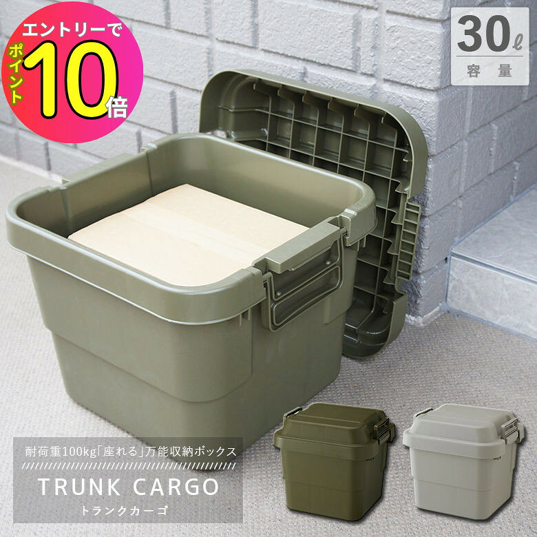 [9月エントリーでP10倍!] トランクカーゴ TC-30 スタンダードタイプ コンテナ収納 容量30L (グリーンまたはグレー) リス 収納ケース