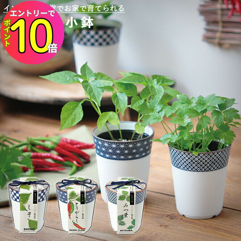 [8ȥ꡼P10!] ڱ GD-758 ̣ȭ ʤɻҡա ƫ