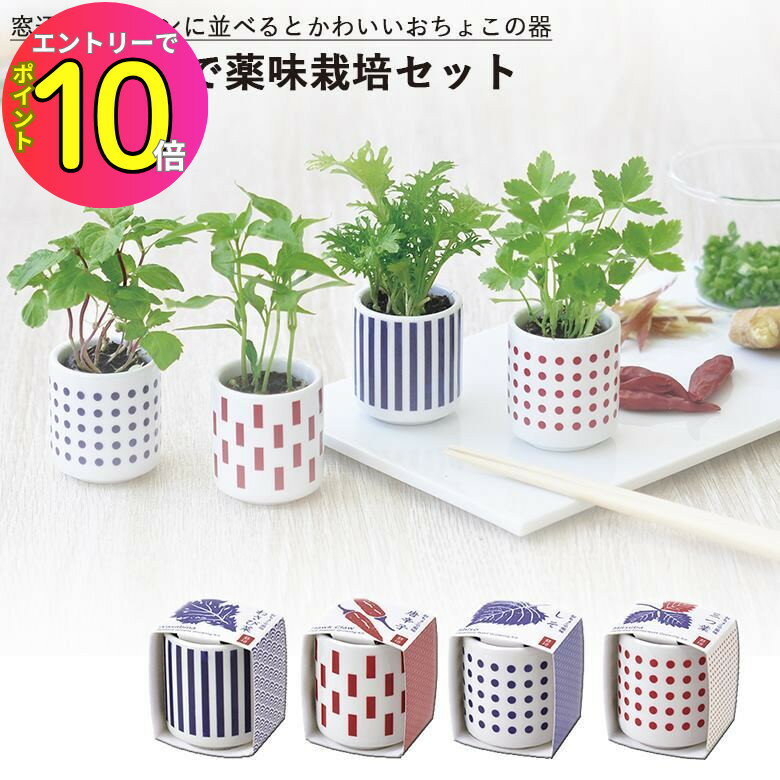 [エントリーでP10倍!] 家庭菜園 GD-890 おちょこで薬味栽培セット 選べる4種類のバリエーション（しそ・唐辛子・わさび菜・三つ葉） 聖新陶芸のサムネイル