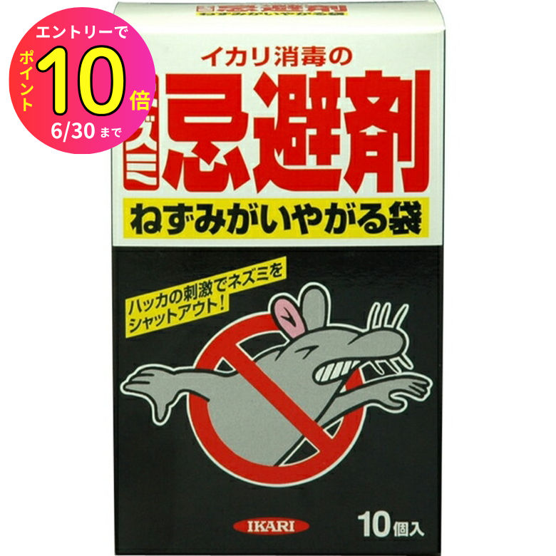 [6ȥ꡼P10] ͥ߶ ͤߤ䤬 10 ͤ   ͥ༣ к  