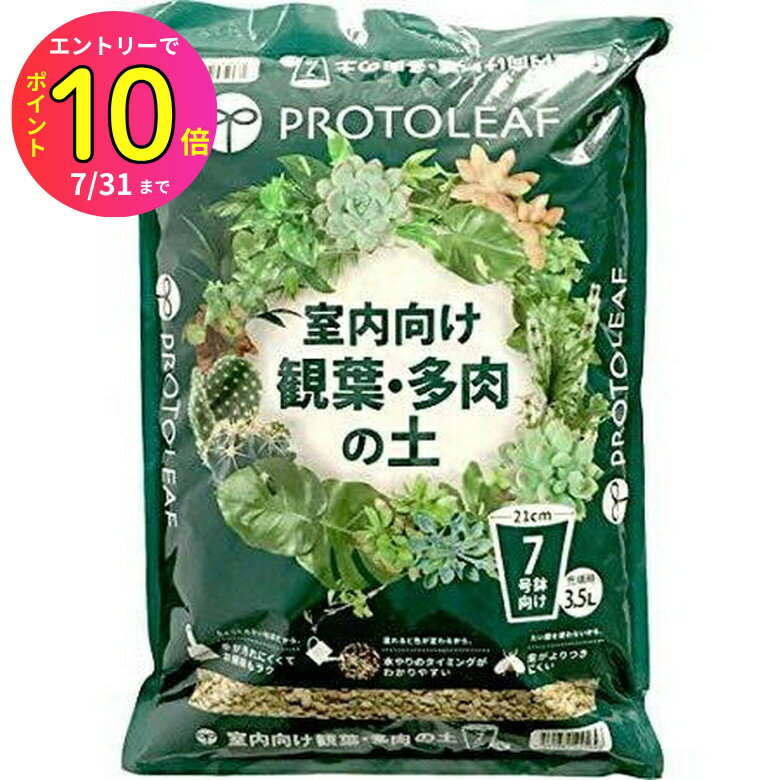 [7ȥ꡼P10] ڱ   ¿ 3.5L ץȥ꡼