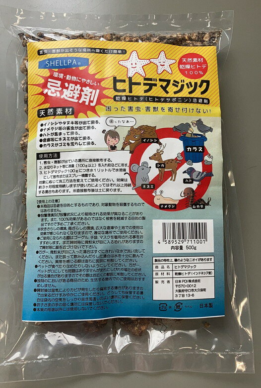 楽天市場】乾燥ヒトデの通販