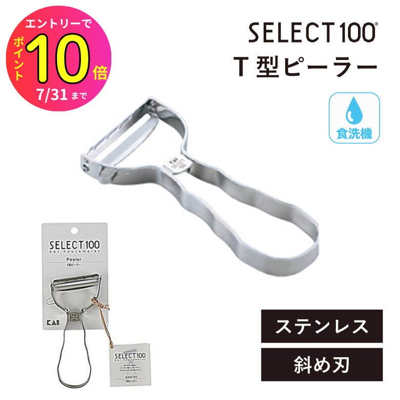 [7ȥ꡼P10]  쥯100 Tԡ顼 DH3000 भ Ф 륹ƥ쥹  û SELECT100 Ĵ ƥ...