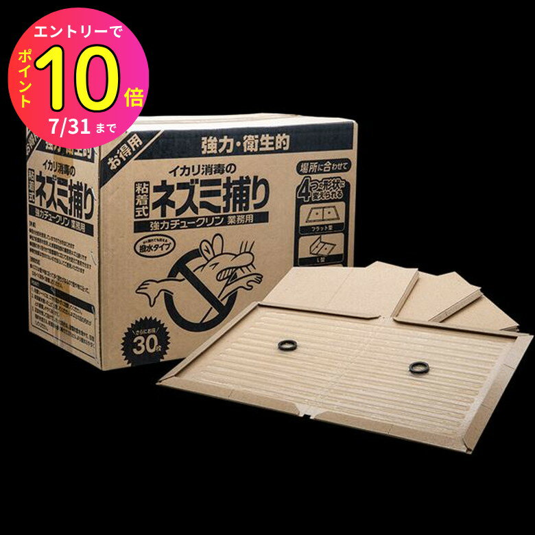 [7ȥ꡼P10]  ϥ塼̳ 30